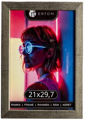 ALPINA 21x29,7 RAMKA Elegant Silver