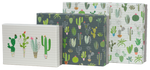 85.327 Gift box set Cactus