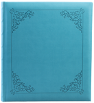 BD100pg/BL FINES-2-T Album trad.