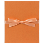 68.749 Leporello HANF Album terracota