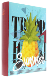 B46200s PINEAPPLE bordowy Album