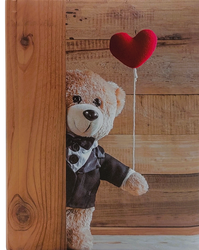 BB10X15/300m-2up Assort-EDI Album